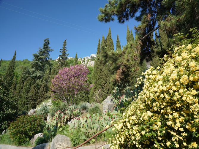 Живописная территория